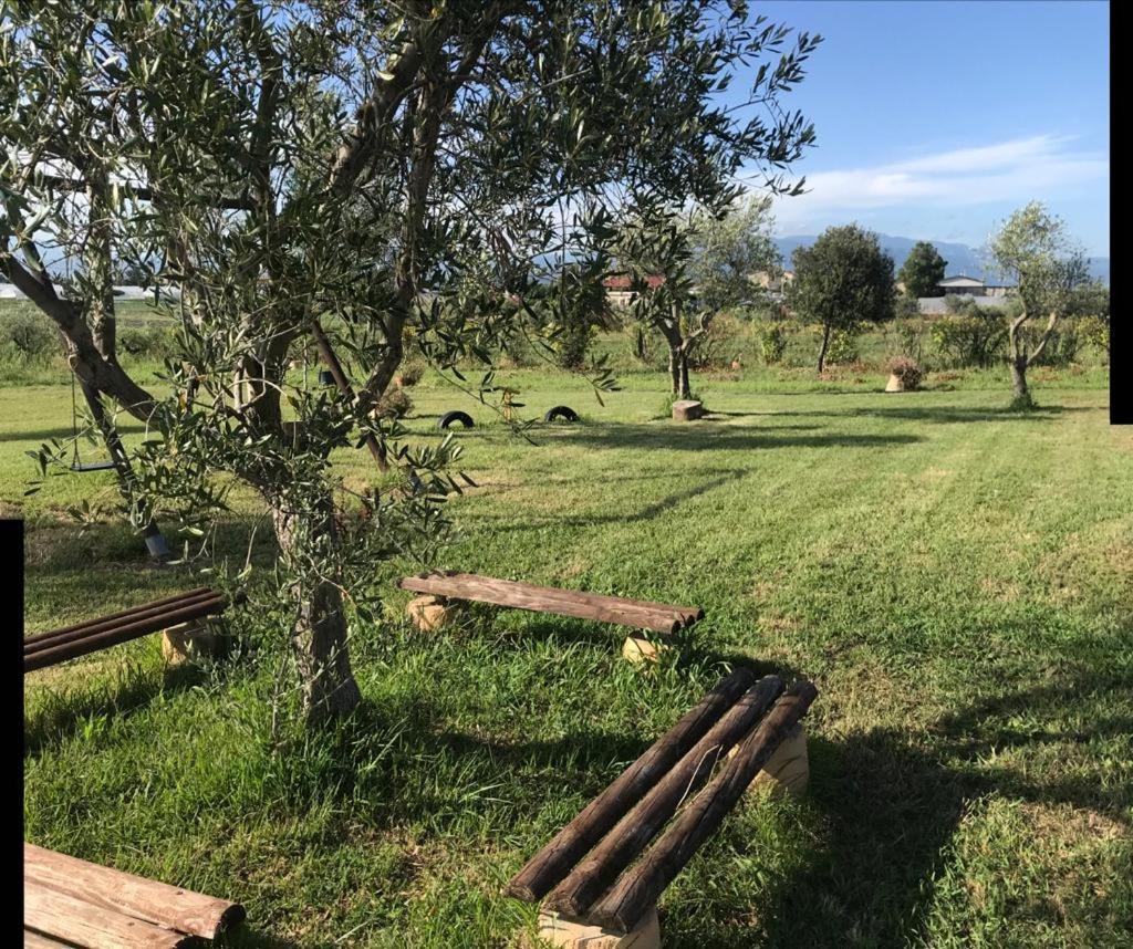 Agriturismo Il Borghetto Villa Foce del Sele Exterior foto