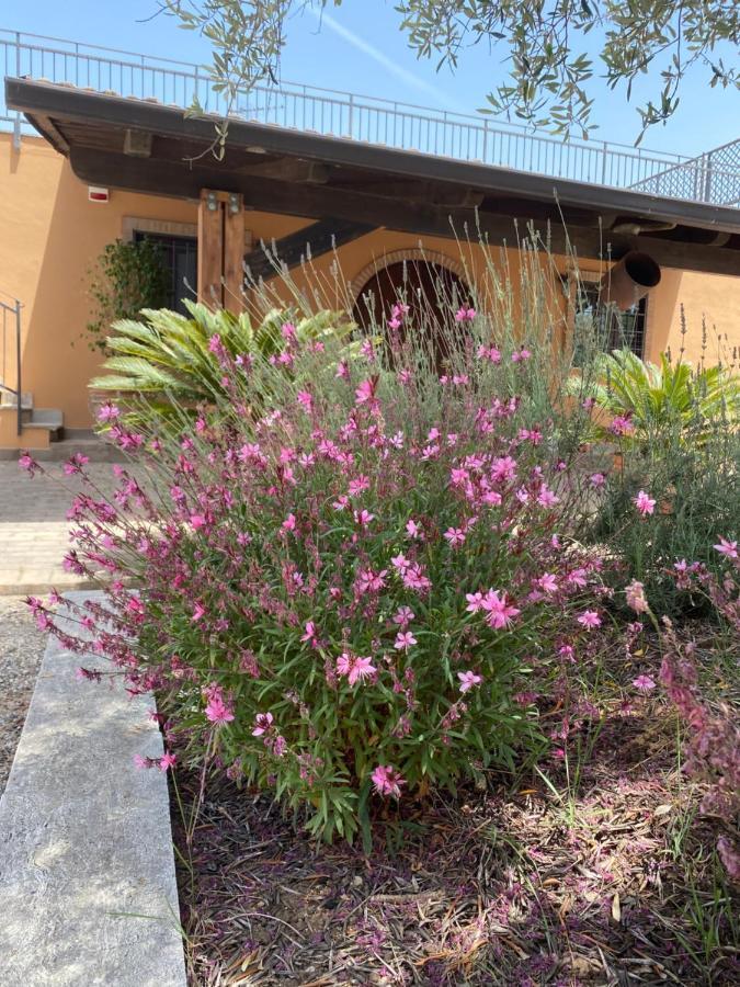 Agriturismo Il Borghetto Villa Foce del Sele Exterior foto