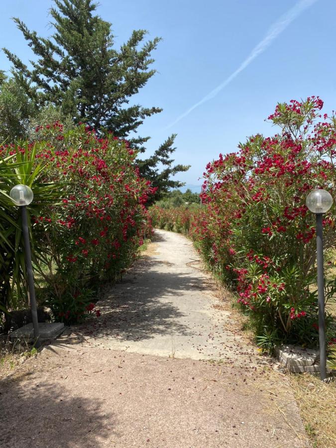 Agriturismo Il Borghetto Villa Foce del Sele Exterior foto